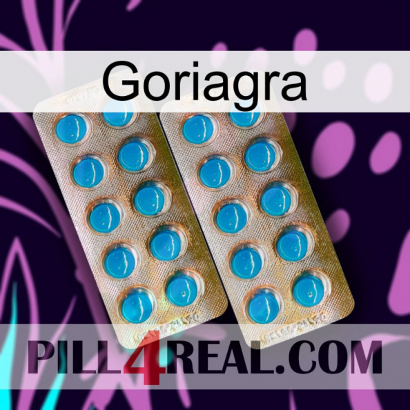 Goriagra new08.jpg